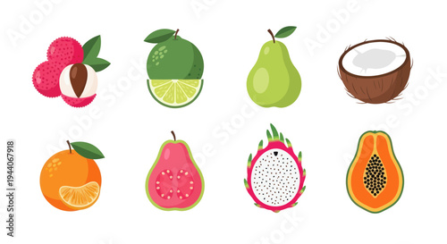 Colorful tropical fruits illustration