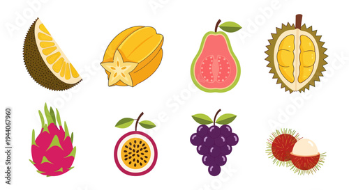 Colorful tropical fruits illustration