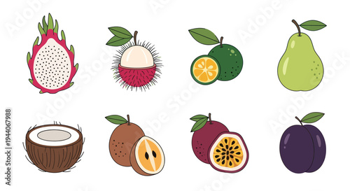 Colorful tropical fruits illustration