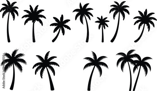 Collection of tropical palm tree silhouettes set, exotic summer beach nature elements for travel design, coastal landscape clipart, flat vector