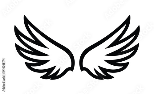 Vector of symmetrical wings with fine feathered details and clean lines