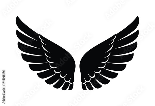 Pair of vector wings spread out symmetrically in a clean elegant design