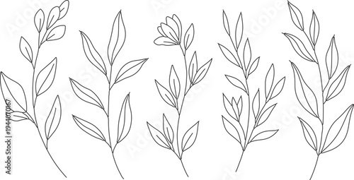 Set of 5 hand-drawn botanical line art vector illustrations featuring delicate leaves and floral elements, ideal for wedding invitations, branding, and natural designs