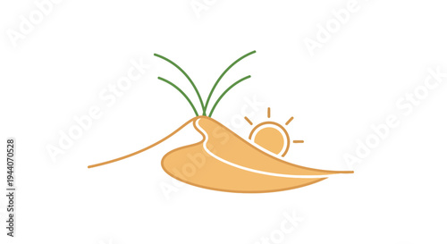 Organic Sweet Potato Harvested Under The Sun.