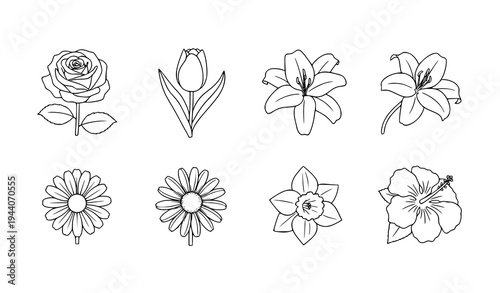 Rose Tulip Lily Daisy Narcissus Hibiscus Flower Icon Set in Outline and Solid Style Botanical Garden Floral Vector Collection