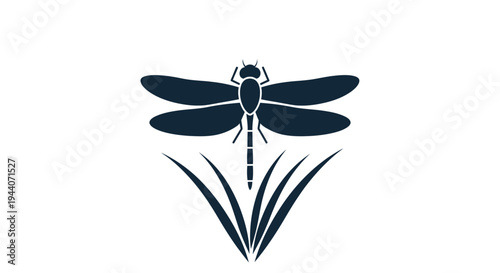 Silhouette of a Dragonfly Resting on Blades of Grass.