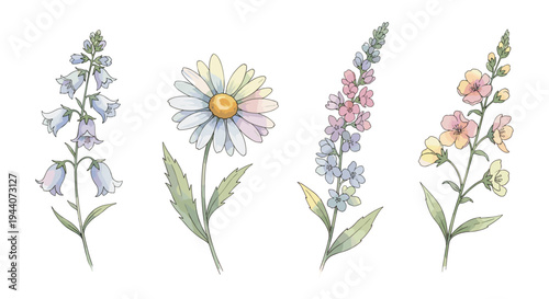 Delicate watercolor illustrations of four different wildflowers in soft pastel colors
