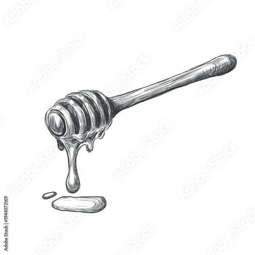 Hand drawn honey dipper wooden spoon with dripping honey, vintage style pencil sketch vector illustration. Beekeeping tool commonly used for serving honey, honey labels, organic food packaging.