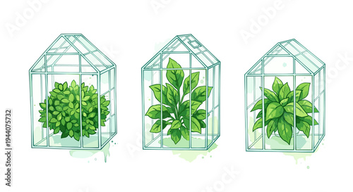 Three small greenhouses with lush green plants growing inside, isolated on white