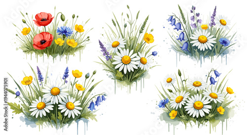 Watercolor collection of diverse wildflower bouquets with poppies, daisies, and bluebells