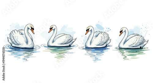 Four elegant white swans gracefully glide on calm water with reflections