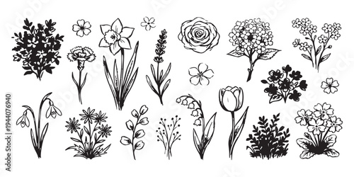 Set of hand-drawn botanical floral sketches featuring roses, tulips, and lavender in a minimalist black ink style vector illustration