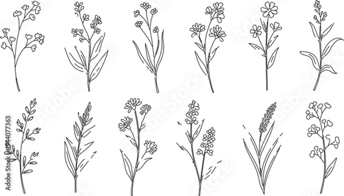  Hand-Drawn Wildflower and Grass Vector Illustrations, Minimalist Botanical Line Art for Nature-Themed Designs, Wedding Invitations, and Branding