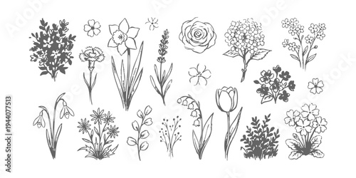 Hand drawn botanical flower sketches set with rose tulip lavender and wildflower line art illustrations on white background vector
