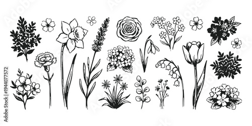 Collection of hand drawn floral elements with rose tulip daffodil and lavender sketches in vintage ink style vector illustration