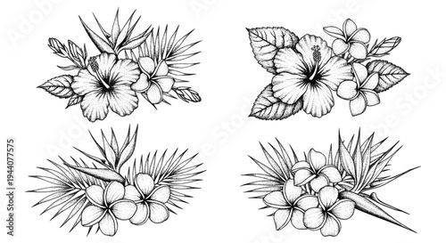 Set of four hand-drawn tropical floral arrangements with hibiscus and plumeria flowers
