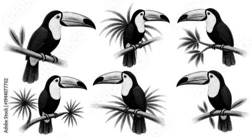 Six stippled toucans perched on branches with tropical foliage, black and white illustration