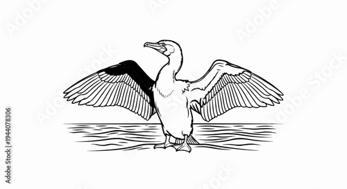 A black and white illustration of a bird standing with its wings spread over a water surface