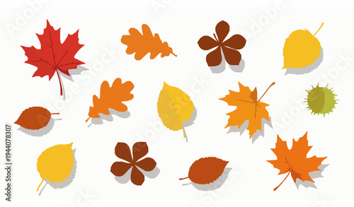 Colorful autumn leaves scattered vector illustration with textured fall foliage on white background