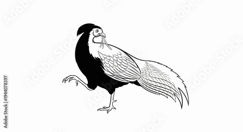 A black and white illustration of a pheasant standing on one leg, holding something in its beak