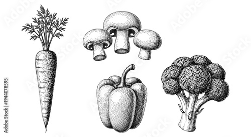 Vintage stipple illustration of assorted fresh vegetables including carrot, mushrooms, bell pepper, and broccoli