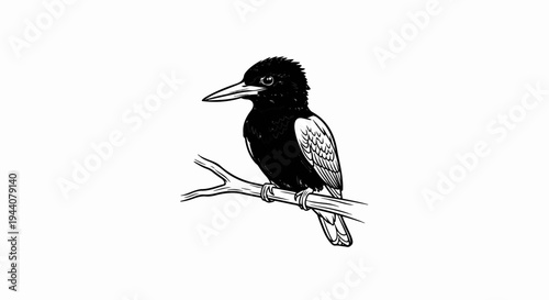 A black and white sketch of a black bird with a pointed beak perched on a branch