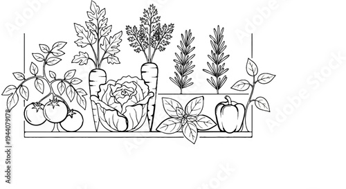 A simple black and white line drawing of a variety of garden vegetables and herbs