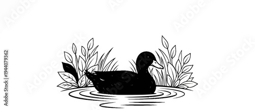 A black duck floats on rippling water surrounded by aquatic plants