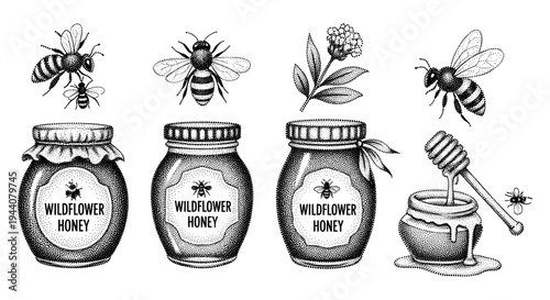 Vintage illustration of bees and jars of wildflower honey, a botanical element