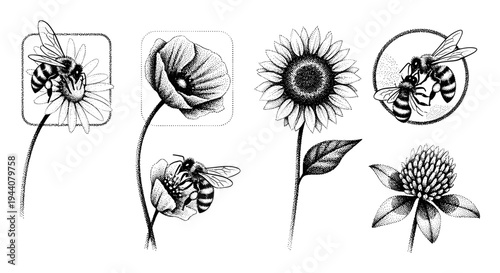 Collection of stippled illustrations featuring bees interacting with various flowers and plants