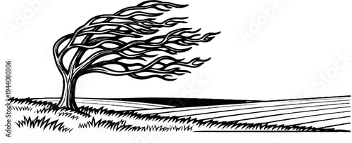 A lone tree bends under strong winds in a field