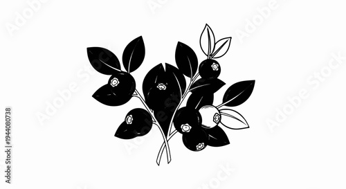 A stylized black and white illustration of ripe blueberries on a stem with leaves
