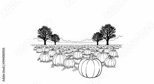 An artistic sketch depicts a vast field brimming with pumpkins under a serene, cloudy sky with trees