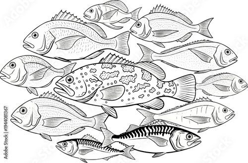 A school of diverse fish, including a large spotted grouper, swims together