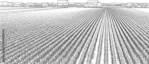 Extensive crop field with neatly arranged rows stretching towards a distant farmstead