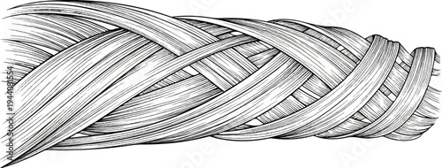 Close-up engraving of tightly woven, natural fibers forming a textured, coiled rope