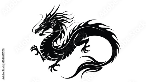 Elegant black ink dragon design with intricate traditional linework and flowing tail. Vector