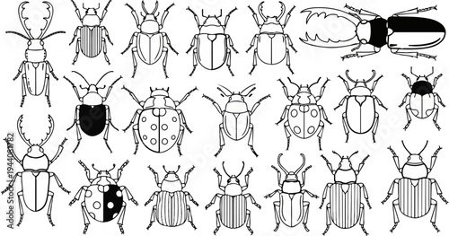 Collection of diverse beetle illustrations, some solid black, others with varied patterns