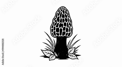 Black and white illustration of a single morel mushroom surrounded by grass and leaves