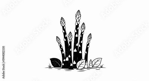Black and white illustration of asparagus stalks with leaves and grass
