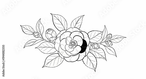 Delicate black and white line art depicts a central bloom surrounded by leaves and buds