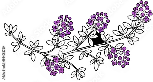 Delicate purple flowers and leaves elegantly arranged on a curved branch