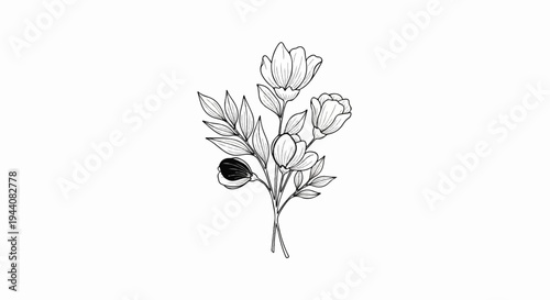 Delicate sketch of a floral bouquet with three blossoming flowers