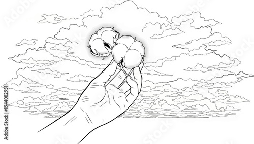 Hand holding fluffy cotton bolls against a cloudy sky