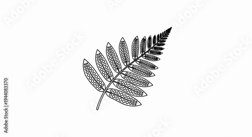 Detailed line drawing of a fern frond with patterned leaflets on a white background