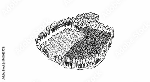 Overhead view of a forest with trees of varying density and shading