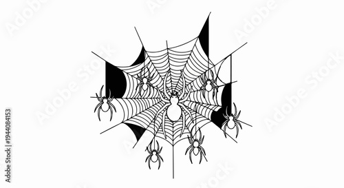 Intricate spider web with multiple spiders, some hanging