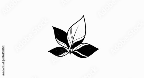 Stylized black and white drawing of three overlapping leaves