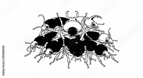 Pile of black and white beetles, some with horns, arranged in a heap