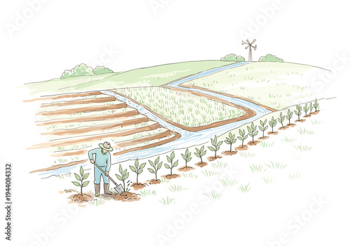 Farmer planting seedlings in a terraced field with irrigation channels and rice paddies